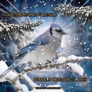 Meet your Posher, Maureen